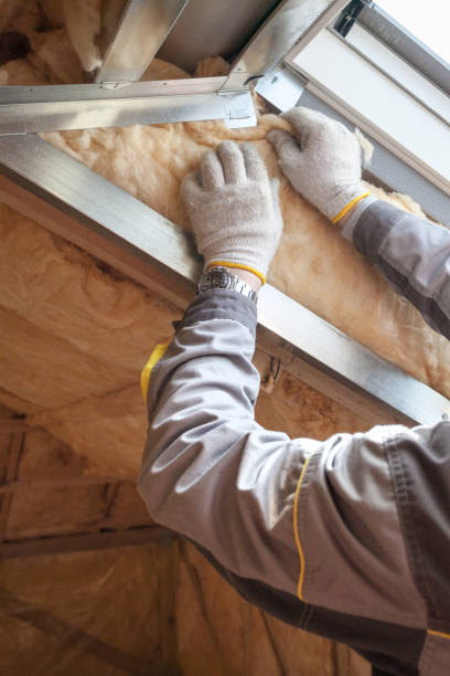 Types of Insulation We Offer in Seattle, WA